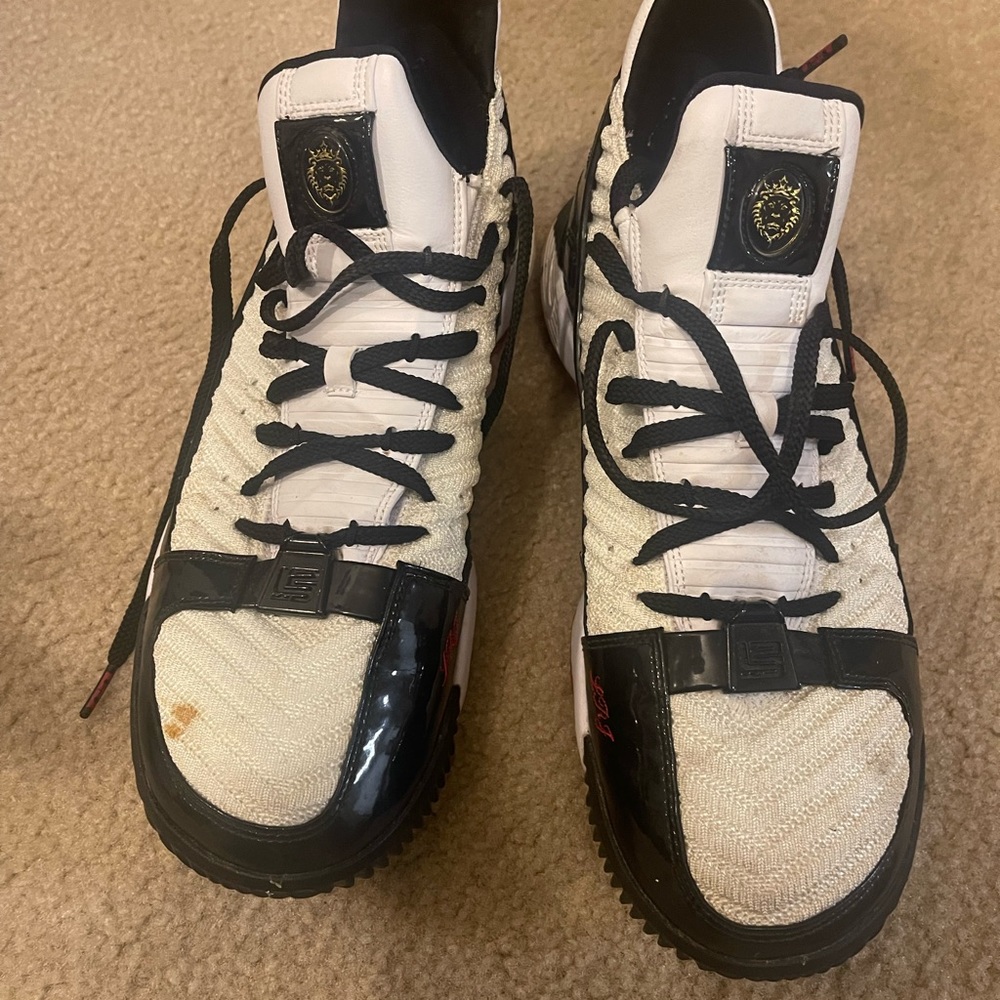 Lebron James sneakers